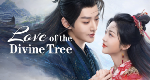 Love of the Divine Tree 2025